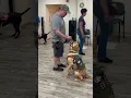 Operation Delta Dog SpotOn Gives Grant Finalist