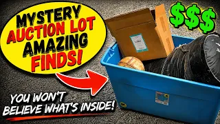 I Took a Gamble on a Mystery Auction Lot of Sports Memorabilia