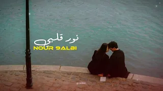                               نور قلبي                  اغنية مغربية   خليجية            دندنها