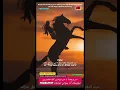 Nordo_Rahma_Belkhir "Tkhaletat"/ سر وجعنا_تخليطت أنا حياتي تخلطت/Atlas Châabi 