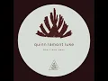 Quinn Lamont Luke - Don't Run Away (El Triangulo)