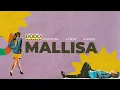 Lagu Dodo Zakaria - Mallisa | Official Lyric Video