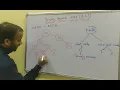 Delete in Binary Search Tree BST in Data Structure Hindi Example