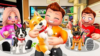 Adoptowaliśmy NOWE PIESKI na BROOKHAVEN w Roblox!