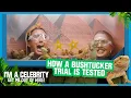 How a Bushtucker Trial is tested | I’m A Celebrity… Get Me Out of Here! 2025