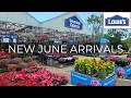 NEW Plants at Lowe s Garden Center June 2026