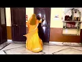 Payal (पायल)Rinu Kanwer rajputi dance 2025 