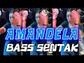 Download Lagu AMANDELA🔥 BASS SENTAK🍊 REMIX TERBARU 2025 || PATRIS TBN feat IGHO REMIXER