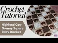 How I Crocheted a Highland Cow Baby Blanket Granny Square Blanket Tutorial