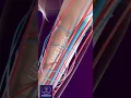 Download Lagu Erectile Dysfunction Treatment by Shockwave Therapy #shorts