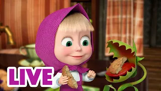 🔴 LIVE! Maşa İle Koca Ayı 😢 Gelecek Yaz Görüşmek Üzere ☀️🌴 Masha and the Bear