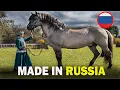 Download Lagu 6 RARE Russian Origin Horse Breeds You Don't Know About!!