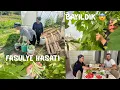 Download Lagu Komsu bostanda bayıldı😱kova kova ilk fasulye hasatina başladık #tazefasulye #hasat #bahçe #village