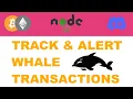 Tracking Crypto Whale Transactions and Sending Alerts on Discord with Node JS and Web3