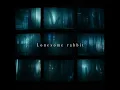 Lonesome rabbit
