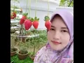 Download Lagu kenangan masa lalu