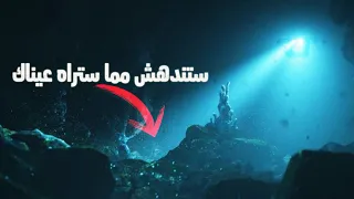 ما الذي يعيش في قاع خندق ماريانا أعمق نقطة على سطح الكرة الأرضية  دندنها