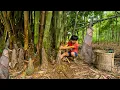 Download Lagu Orphan Boy Harvests Bamboo Shoots and Buys New Essentials