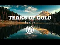 Lagu Tears Of Gold - Faouzia (Cover By Daneliya Tuleshova) Lyric Video