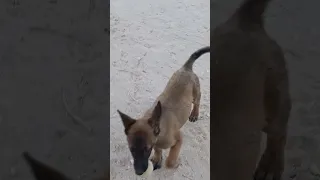 مشالله تبارك الله يا ريم ليبيا بنغازي ليبيا المراره ليبيا 