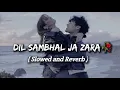 Lagu Dil Sambhal Ja Zara | (Slowed + Reverb) | Theslofiedits
