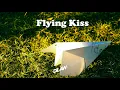 Download Lagu DILAW - FLYING KISS (OFFICIAL MUSIC VIDEO)
