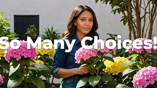 May 2024 Walmart Edison NJ Inventory - The Best Hydrangea Annul Perennial Plants Collection