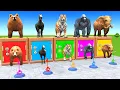 Download Lagu Long Slide Game With Cow Elephant Gorilla Hippopotamus Tiger 3d Animal Game Funny 3d Animals