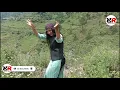 Download Lagu Honey negi new song || meri begma by Honey negi | pahari new song | pahari natti by girl