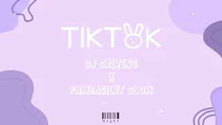 Dj Salting X Pambasilet Slow bass [TIKTOK TERBARU MUSHUP]