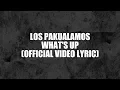 Lagu LOS PAKUALAMOS - What's Up ! ( Official Lyric Video )