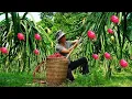 Download Lagu Young CEO leaves the city: Journey to a simple life in a poor countryside