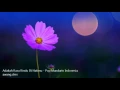 Download Lagu Adakah Rasa Rindu Dihatimu - Pop Mandarin Indonesia MP3