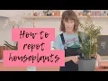 Download Lagu How to repot my plant? 🌱 🌳