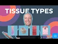 4 Basic tissue types Connective muscle epithelial and nervous Kenhub