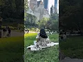 Download Lagu Picknickdates 🧺🌳 #picknick #date-ideeën #esthetiek #zomer #levensstijl #nyc #schilderen #shorts #viraal
