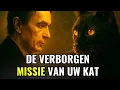 Download Lagu Je kat is niet alleen een huisdier – Rudolf Steiner legt zijn spirituele taak uit