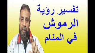 تفسير حلم رؤية الرموش في المنام   اسماعيل الجعبيري دندنها