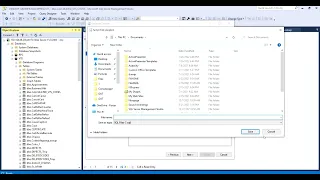 Generate script file in Microsoft Sql server 2019 tables schema and data