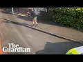 Download Lagu Footage shows man with a crossbow chasing police officers