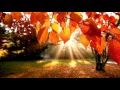 Download Lagu ❀ Kitaro - Mirage ❀