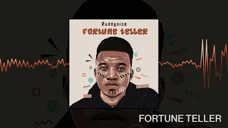 buddynice fortune teller redemial mix audio visual 