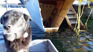 This Doesn’t Look Good – Sink or Swim 70