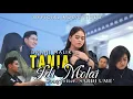Download Lagu TANIA IDI MOLAI (Official Music Video)~Dhani Malik~Cipt: Sardi Ume