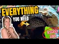 Leopard Gecko Care Guide 2026 Complete Beginners Guide