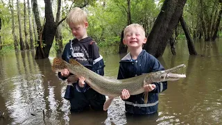 5 Days Fishing Camping in Swamp - Catch Cook Frogs Gar Crabs Catfish Buffalo