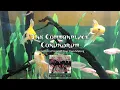 The Commonplace Conundrum
