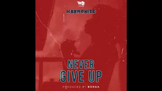 FREE Harmonize Never Give Up Instrumental Beat 