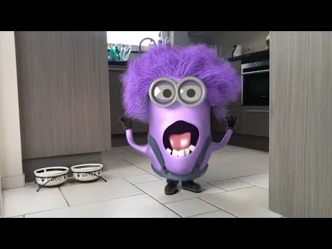 Download MP3 TOP 100 MINION ANIMATIONS IN REAL LIFE COMPILATION