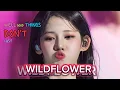 RORA BABYMONSTER | WILDFLOWER by Billie Eilish | [AI COVER]